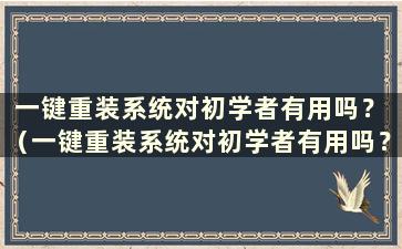 一键重装系统对初学者有用吗？ （一键重装系统对初学者有用吗？）